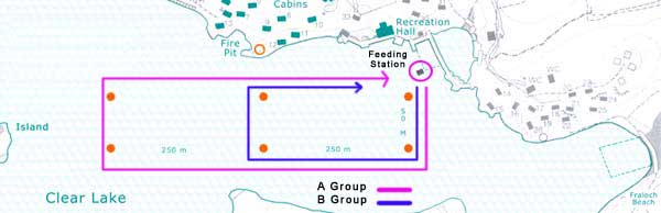 Course Map