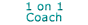 1 on 1 Coaching